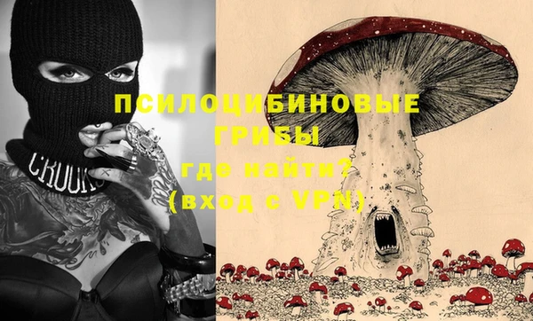 тгк Осинники