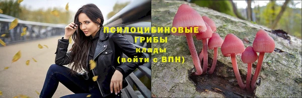 экстази Пестово
