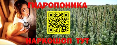 эйфоретик Аргун