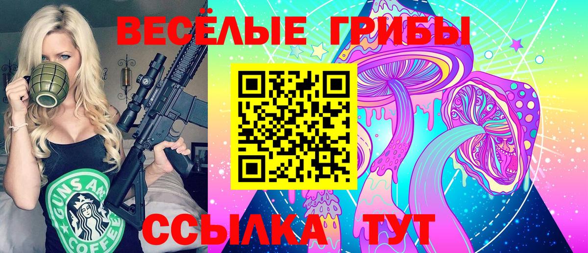 Владикавказ  Псилоцибиновые грибы GOLDEN TEACHER  Галлюциногенные грибы Magic Shrooms  Вход с VPN 